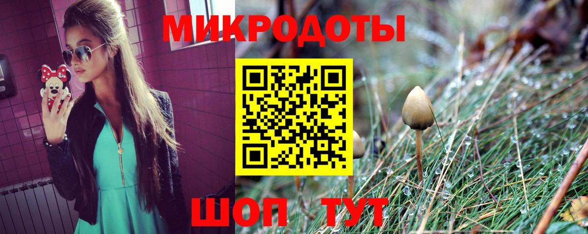 Жуковский  Галлюциногенные грибы Psilocybine cubensis  Псилоцибиновые грибы ЛСД  Вход с VPN 
