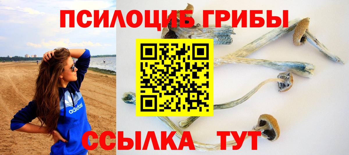 Галлюциногенные грибы Psilocybe Жуковский